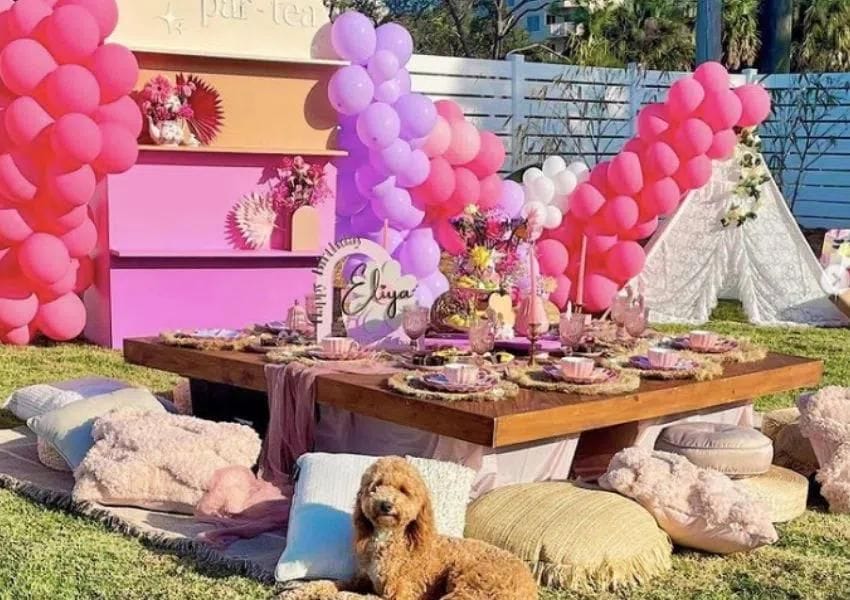 Try an amazing Pop Up Picnic in Jacksonville UNATION