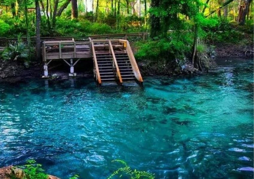 8 Best Natural Springs in Florida and How To Get To Them