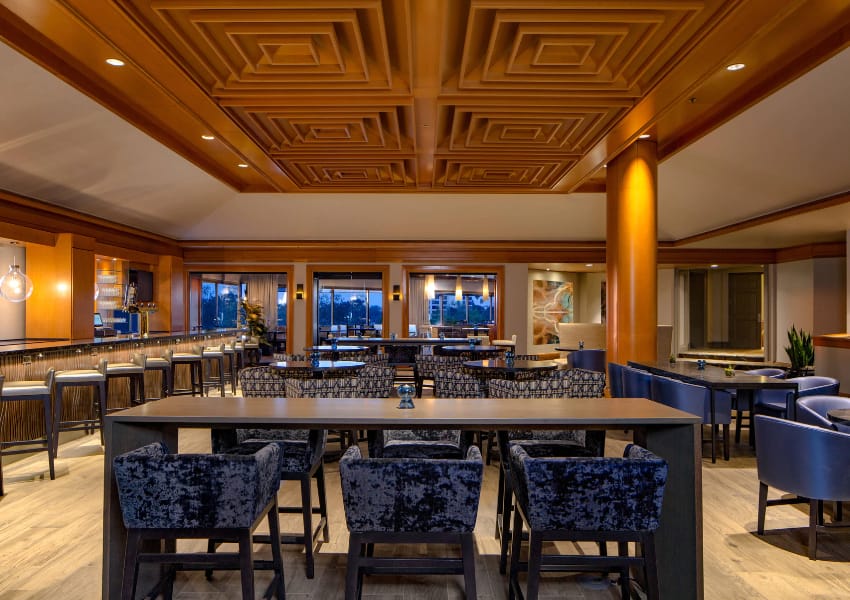 hotels in tampa tampa hotels best hotels in tampa
