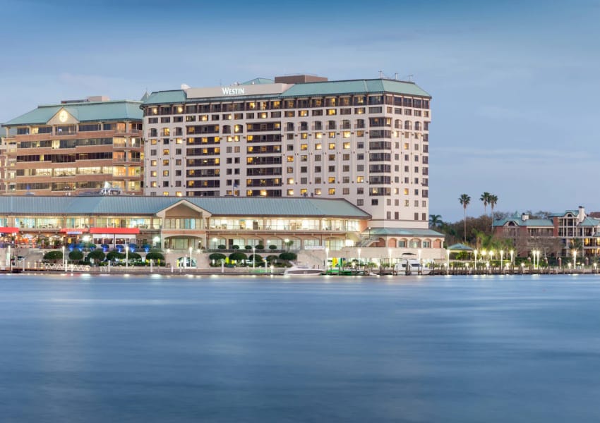 hotels in tampa tampa hotels best hotels in tampa