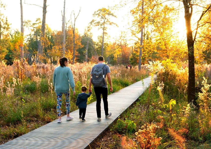 Accessible Nature