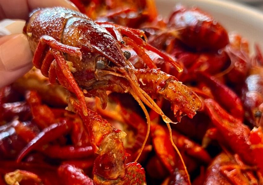 Crawfish
