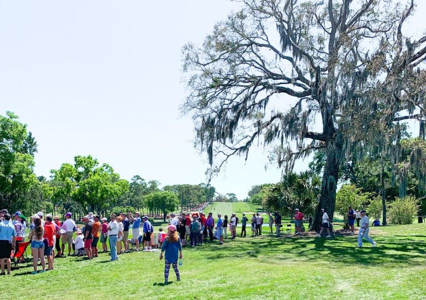 things to do in tampa bay