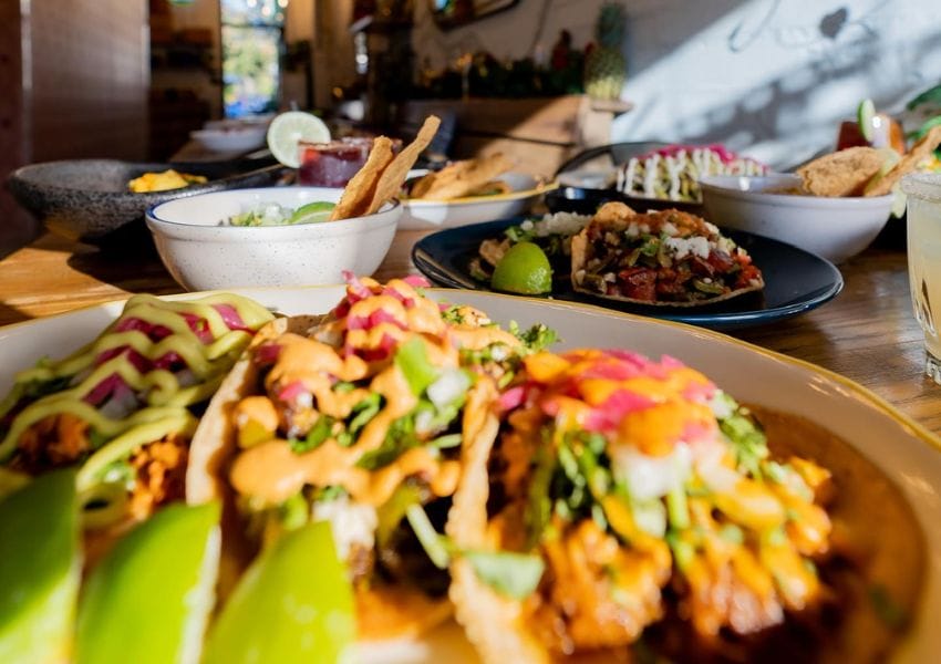 5+ of the Best Tacos Jacksonville Has to Offer UNATION