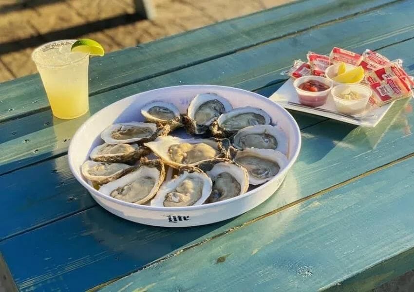 10+ Fun DogFriendly Restaurants in Jacksonville UNATION