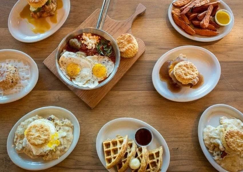 10+ Fun DogFriendly Restaurants in Jacksonville UNATION