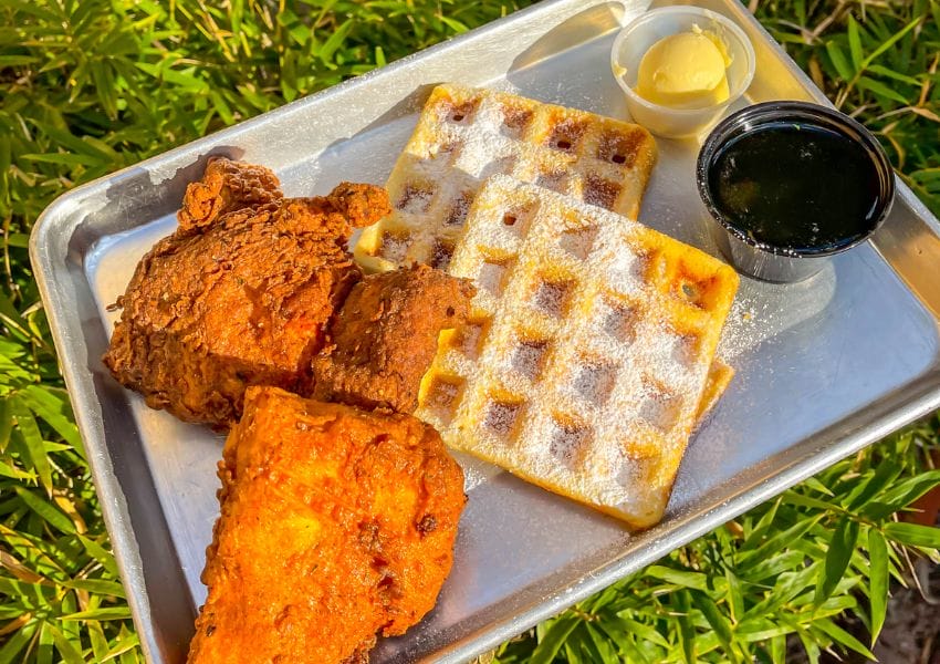 5+ Spots for Best Fried Chicken in Jacksonville UNATION