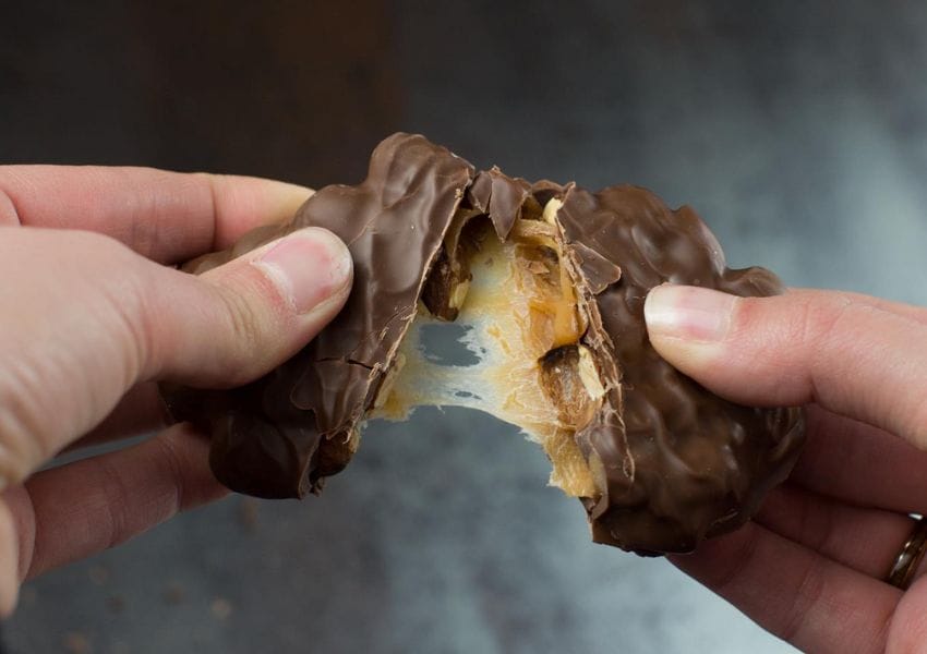 5+ of The Most Popular Chocolate in Tampa Bay UNATION