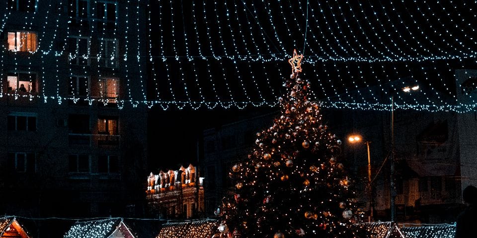 8+ Christmas Things In Tampa Bay: Celebrate The Holidays