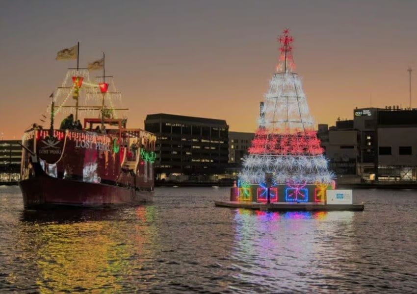 20+ MustSee Holiday Events in Tampa Bay 2023