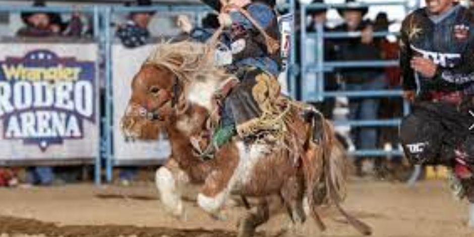 Rodeo Finals Live Las Vegas NFR- National Finals Rodeo 2023 – UNATION