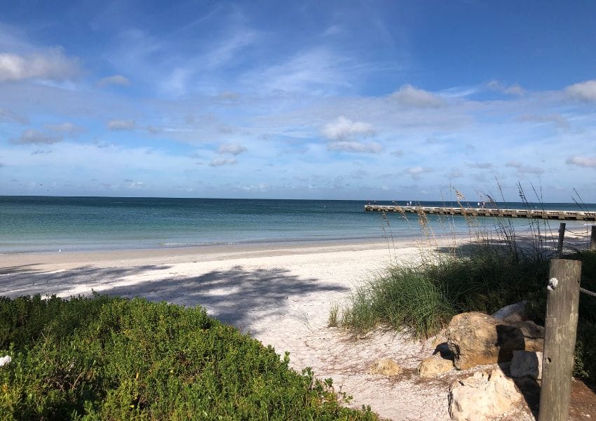 things to do in tampa things to do in tampa florida things to do in tampa this weekend things to do in tampa fl best things to do in tampa things to do in tampa bay road trips from tampa day trips from tampa weekend trips from tampa day trips from tampa best day trips devil's den ginnie springs