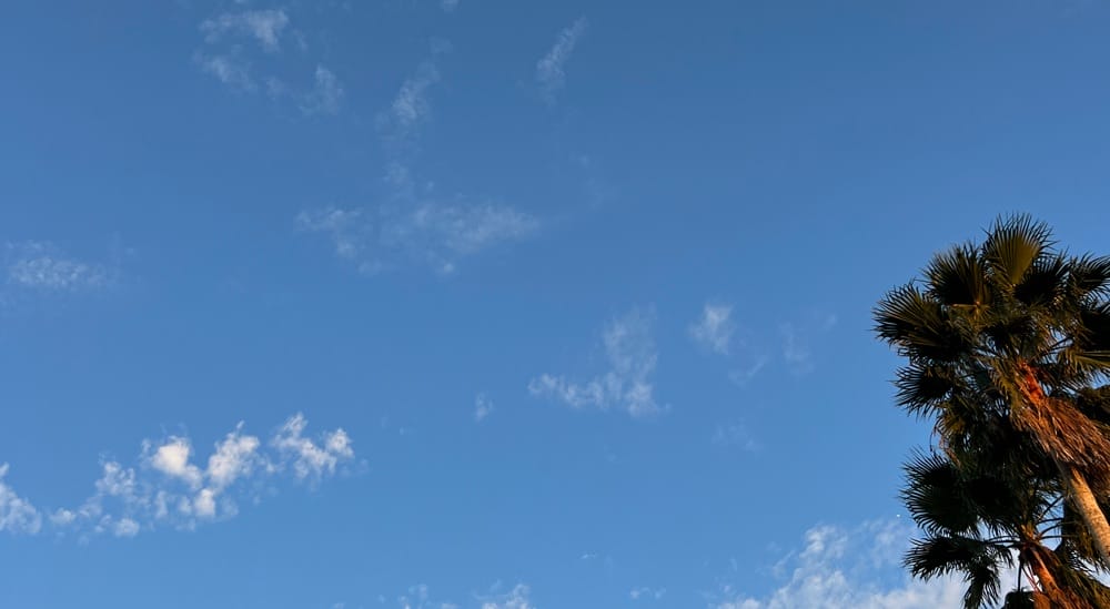 Business image 1