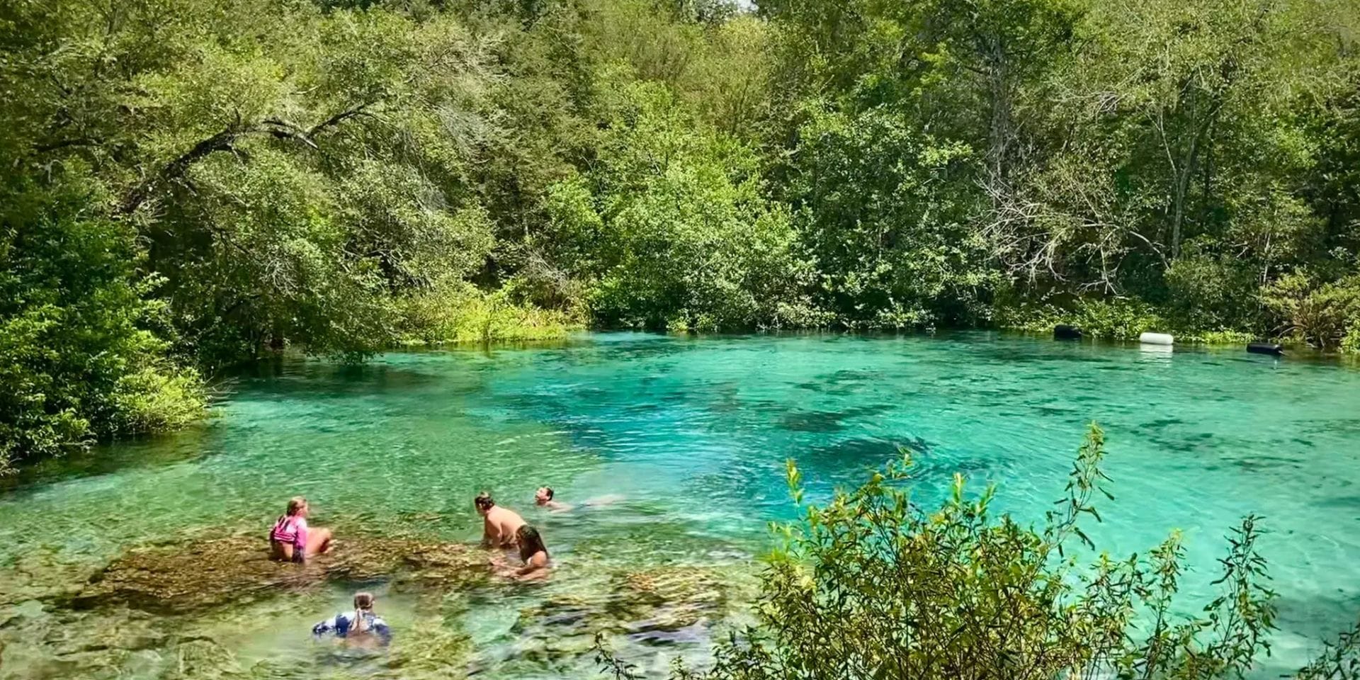 8+ Unique Natural Florida Springs – Hidden Gems Edition!