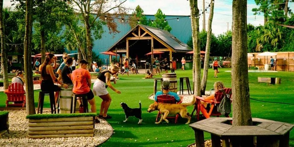 BrewHound Mutt Market