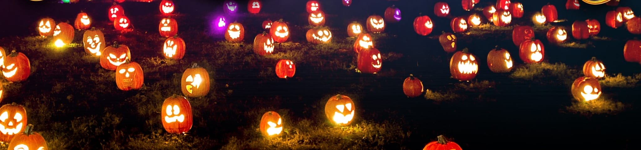 Magic of the Jack O'Lanterns – Denver