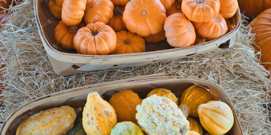 Pumpkin Festival & Handmade Market