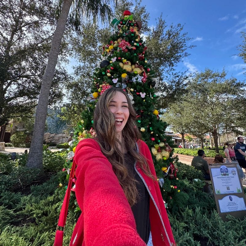 Disney Springs Christmas Tree Stroll