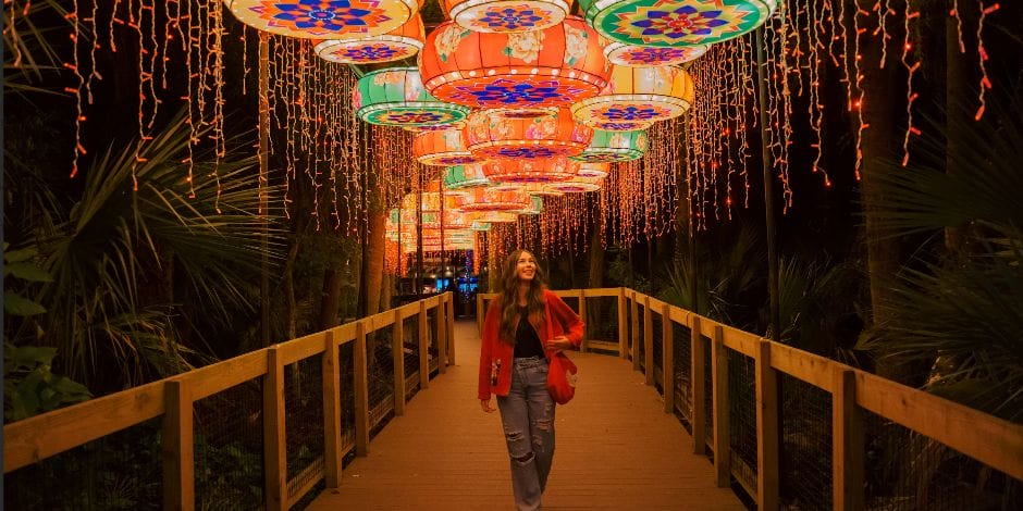 4a59b8fe91a59003102e8a2e7508ec