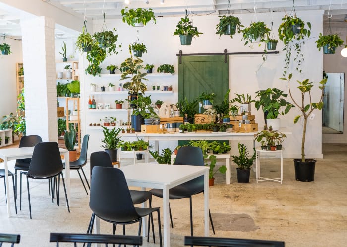 Business image 2