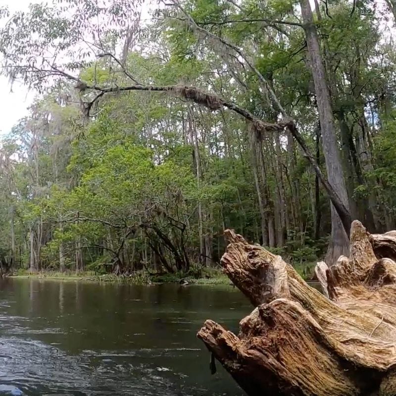 Ichetucknee Springs State Park