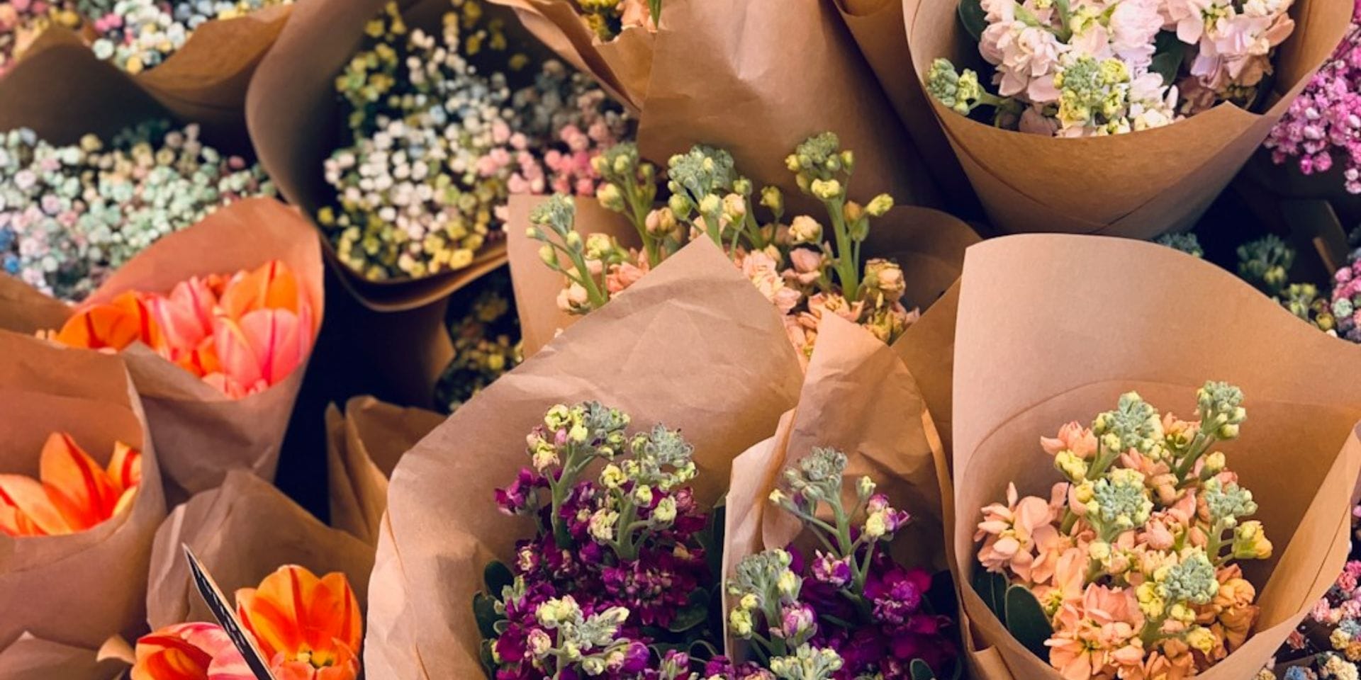 For the one who loves surprises image 1