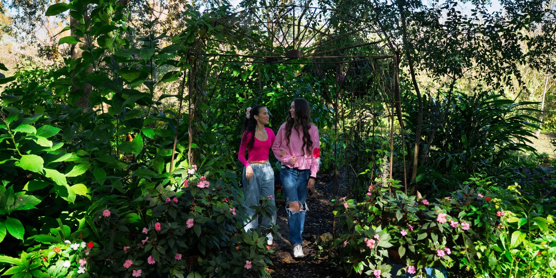 Explore a botanical garden  image 1