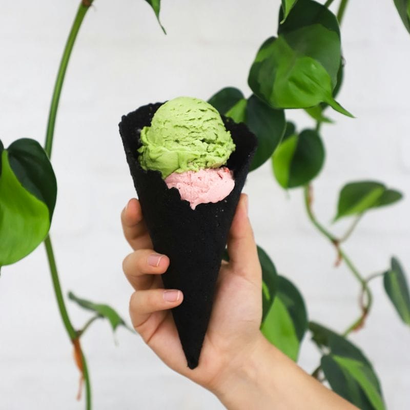 Plant Love Ice Cream