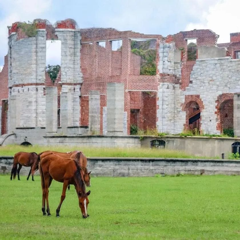 Cumberland Island