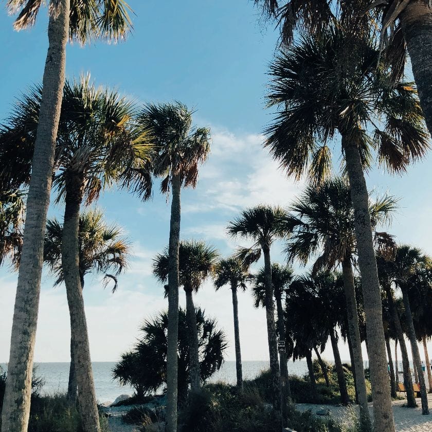 Tarpon Springs
