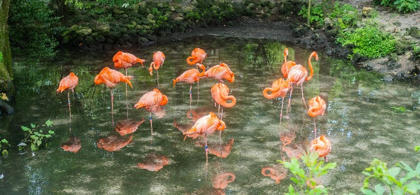 Best Day Trips from Tampa Bay