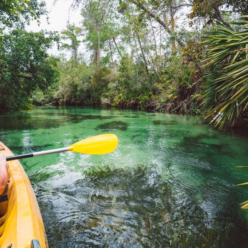 Weeki Wachee Spring