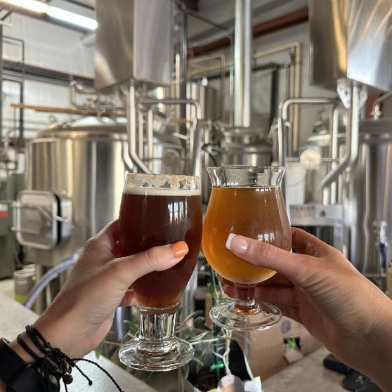 Best Breweries